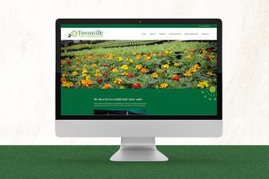 website-design-townsville-darwin